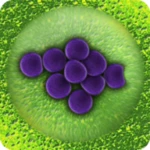 bacteria android application logo